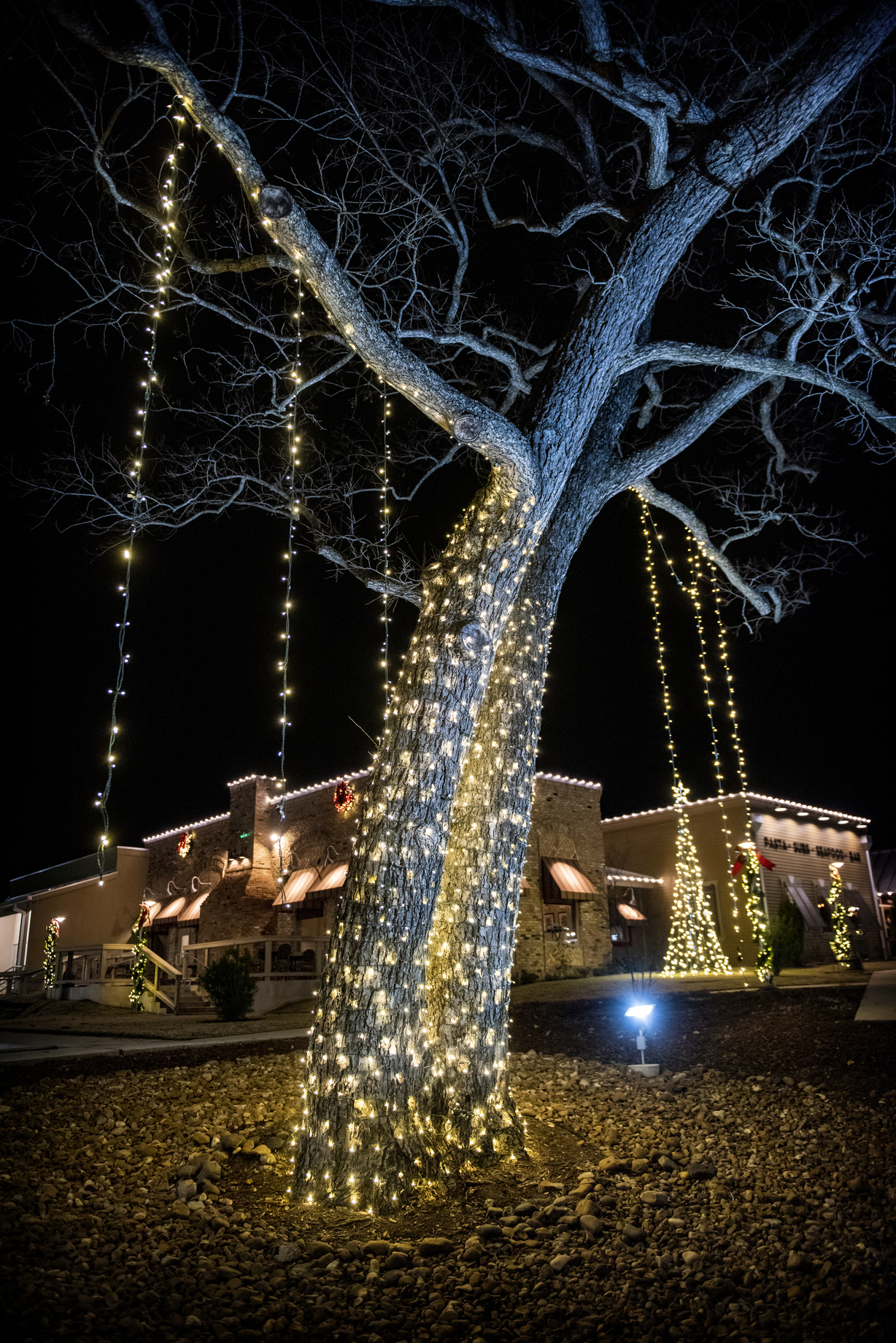 Ignite Christmas Lighting Commercial Exterior Tree Wraps