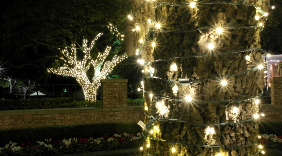 Christmas Lighting Tree Wrap - Ignite Christmas Lighting Installation Services