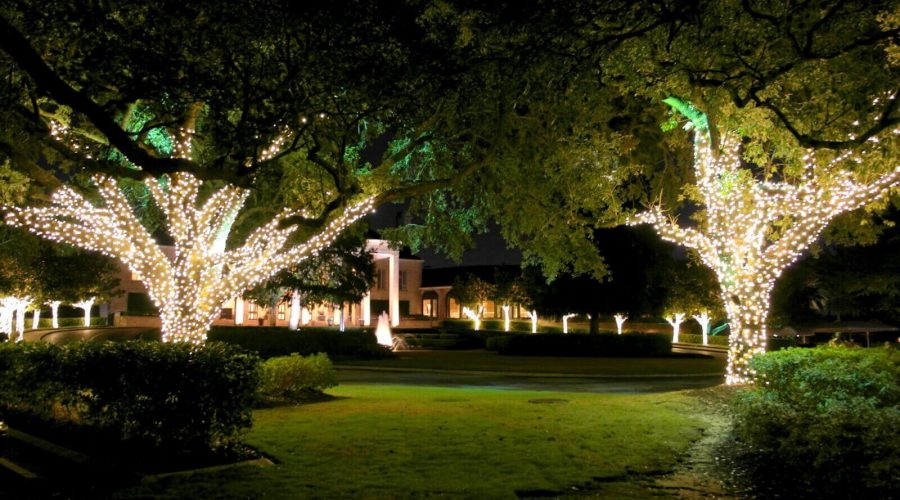 Christmas Lighting Tree Wrap - Ignite Christmas Lighting Warranty Services