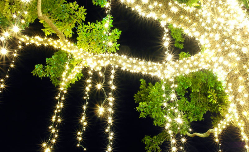 Ignite Christmas Lighting Commercial Exterior Lighted Spheres and Drops