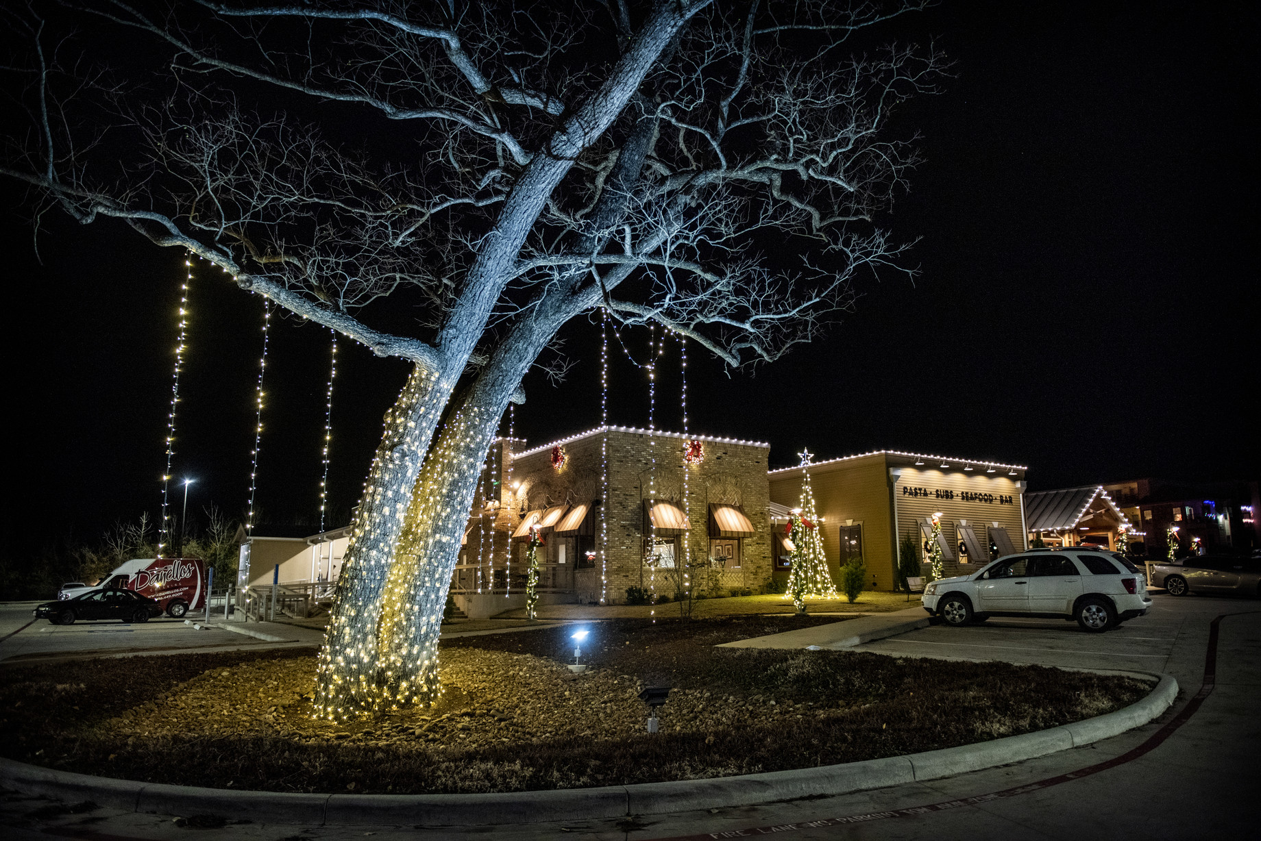 Ignite Christmas Lighting Residential Exterior